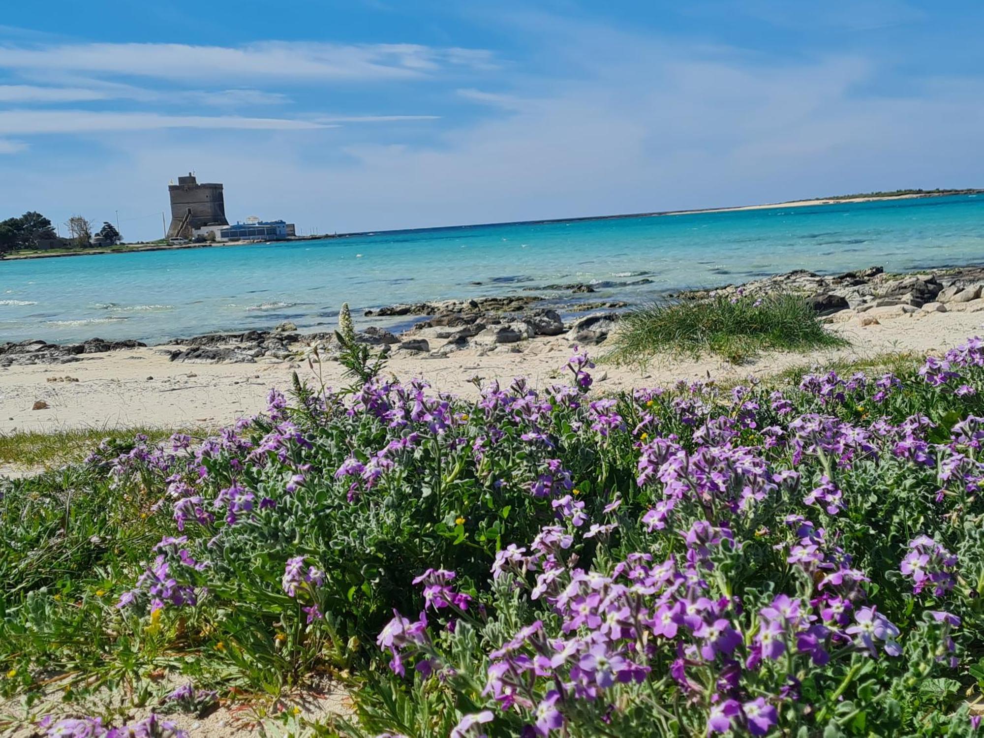 Piccola Residenza Marina Villa Sant Isidoro  Buitenkant foto