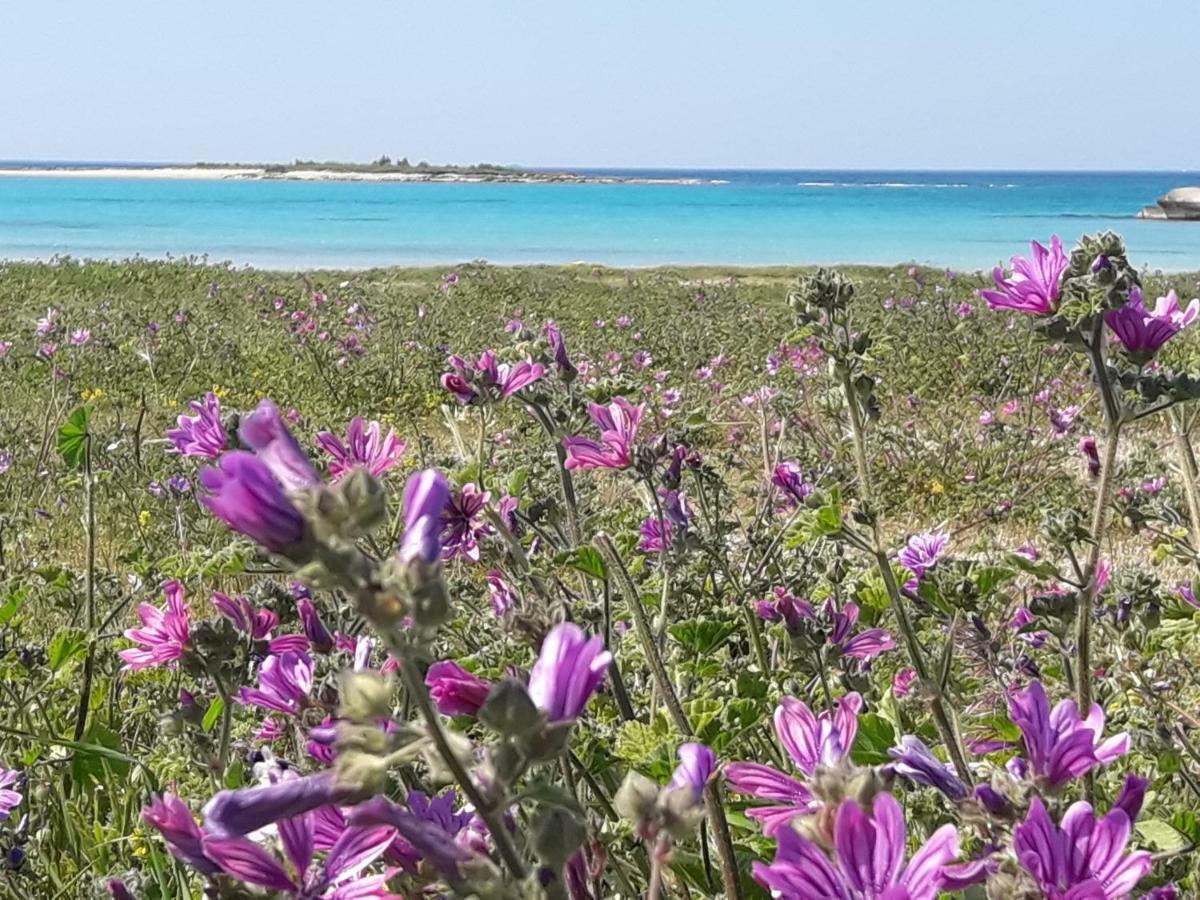 Piccola Residenza Marina Villa Sant Isidoro  Buitenkant foto